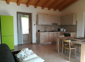 Deluxe Apartment, 1 Bedroom, Patio, Lake View | Private kitchen