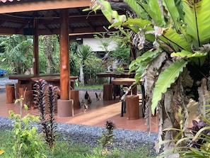 Dining - Talaungjit Resort & Garden (Lan Saka)