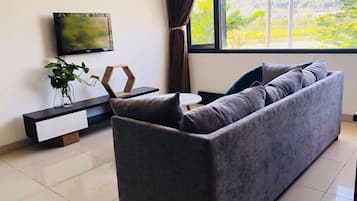 TV, lareira