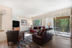 TV, fireplace, books