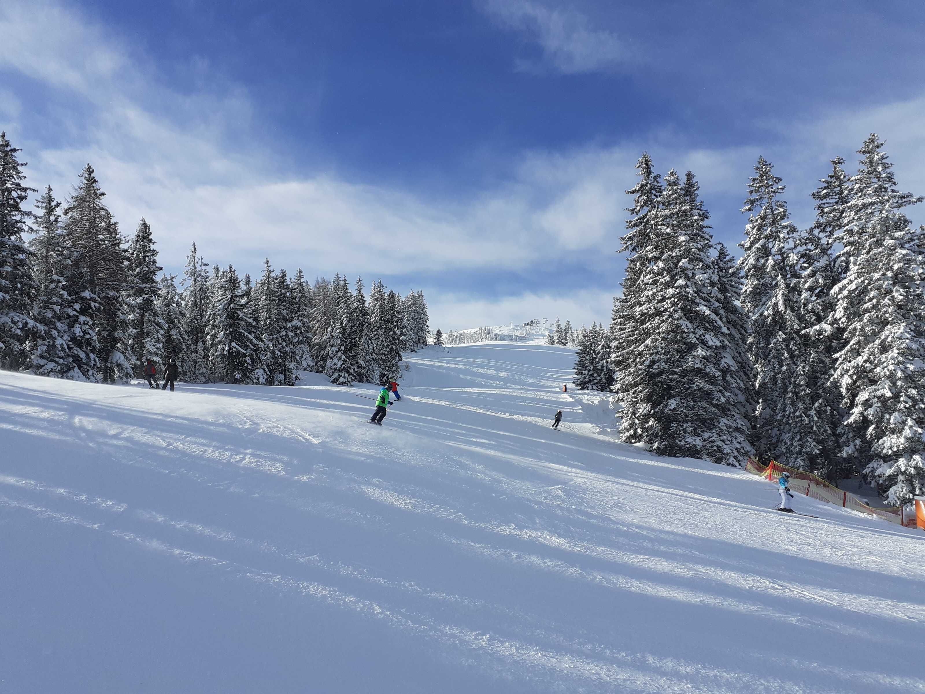 A snowy ski slope with trees on either side.