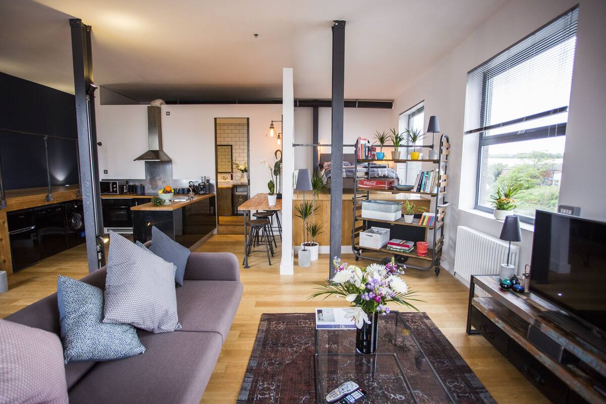 デラックス アパートメント 1 ベッドルーム バルコニー (River Loft) | リビング エリア | 薄型テレビ
