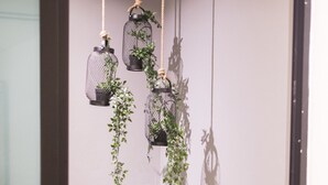 A room with a green artificial turf floor, a wooden table, and hanging planters with greenery. - Madison Bangkok (Bangkok)