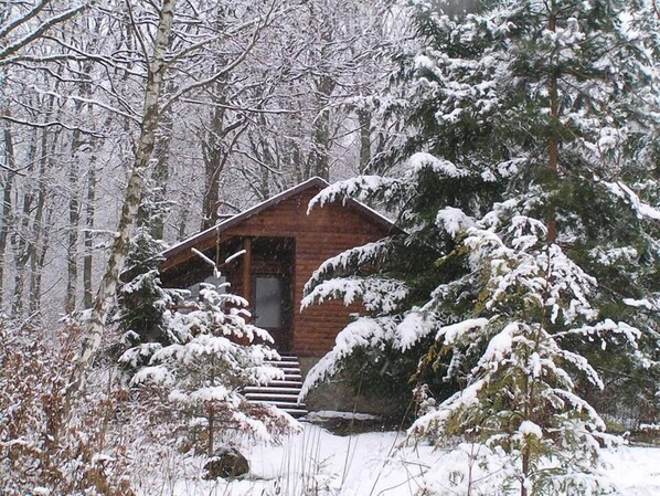 A cabin surrounded by snow-covered trees. - Dubky Hotel (Uzhhorod)