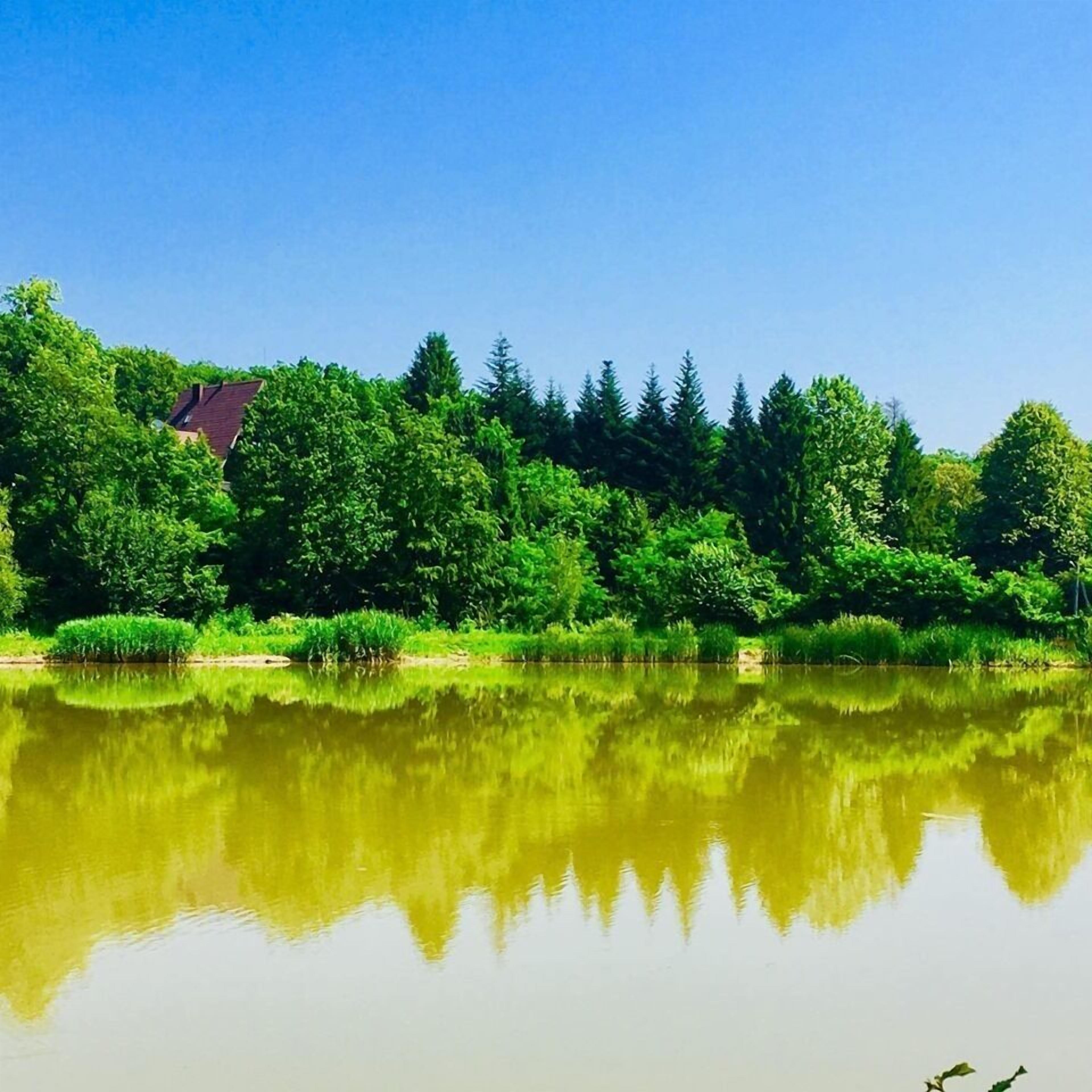 A serene lakeside view with dense greenery and a house in the background.