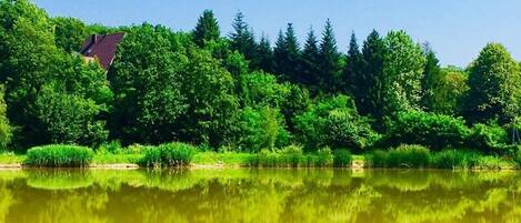 A serene lakeside view with dense greenery and a house in the background.