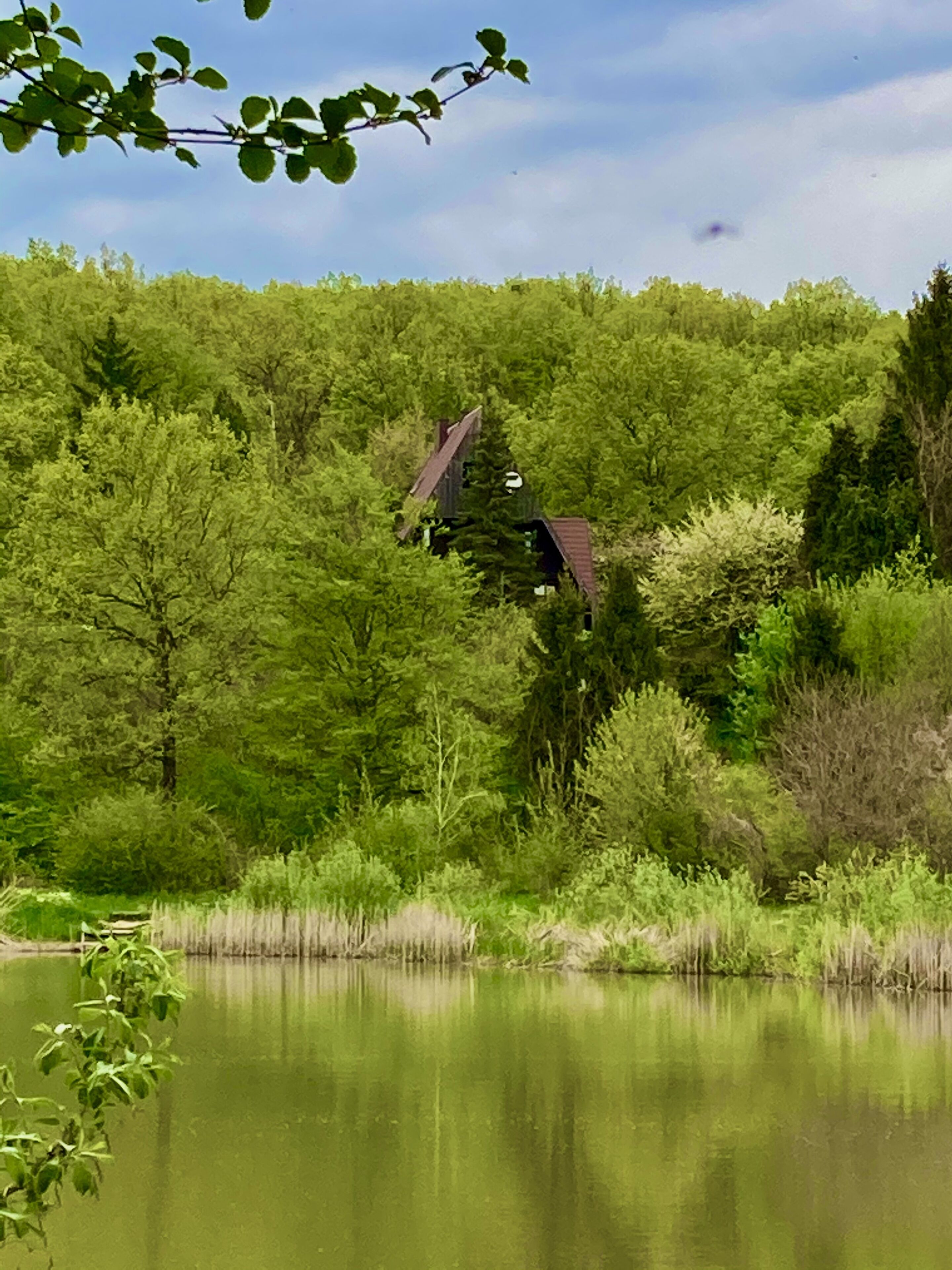 Una casa circondata da una fitta foresta e da uno specchio d'acqua.