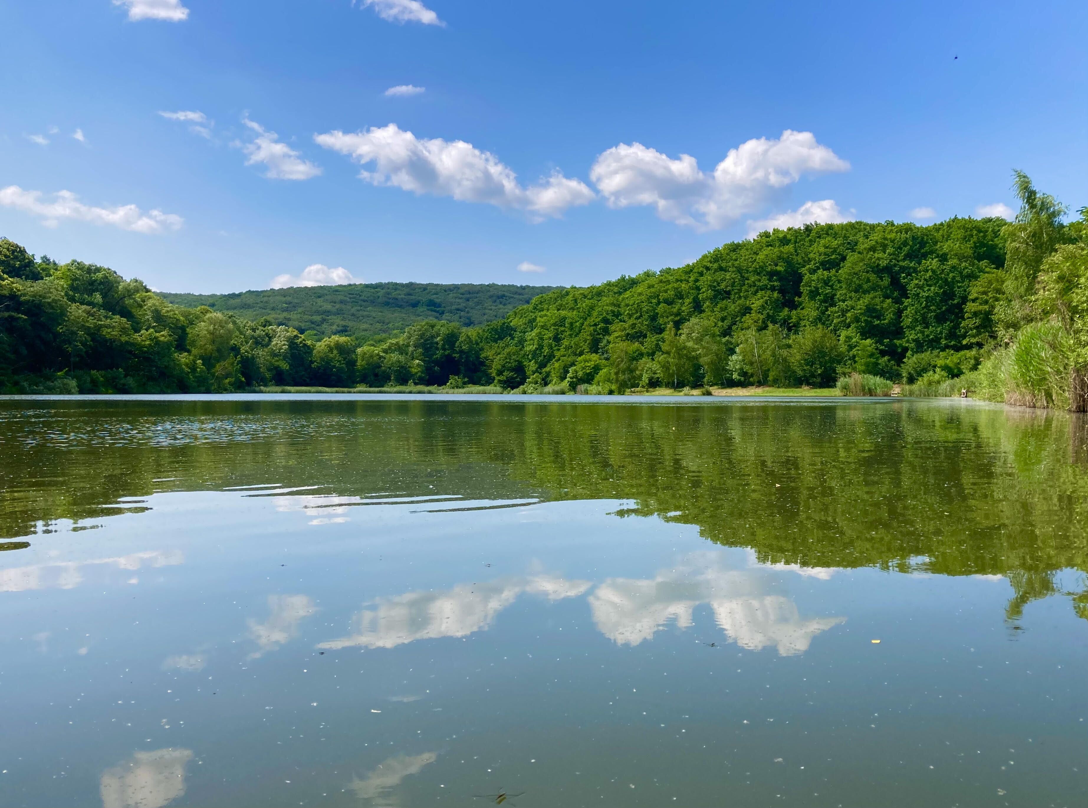 A calm lake with reflections of the sky and trees, surrounded by dense greenery and hills.