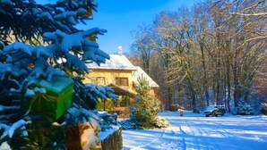Schneebedeckte Landschaft mit einem Haus, Bäumen und blauem Himmel.