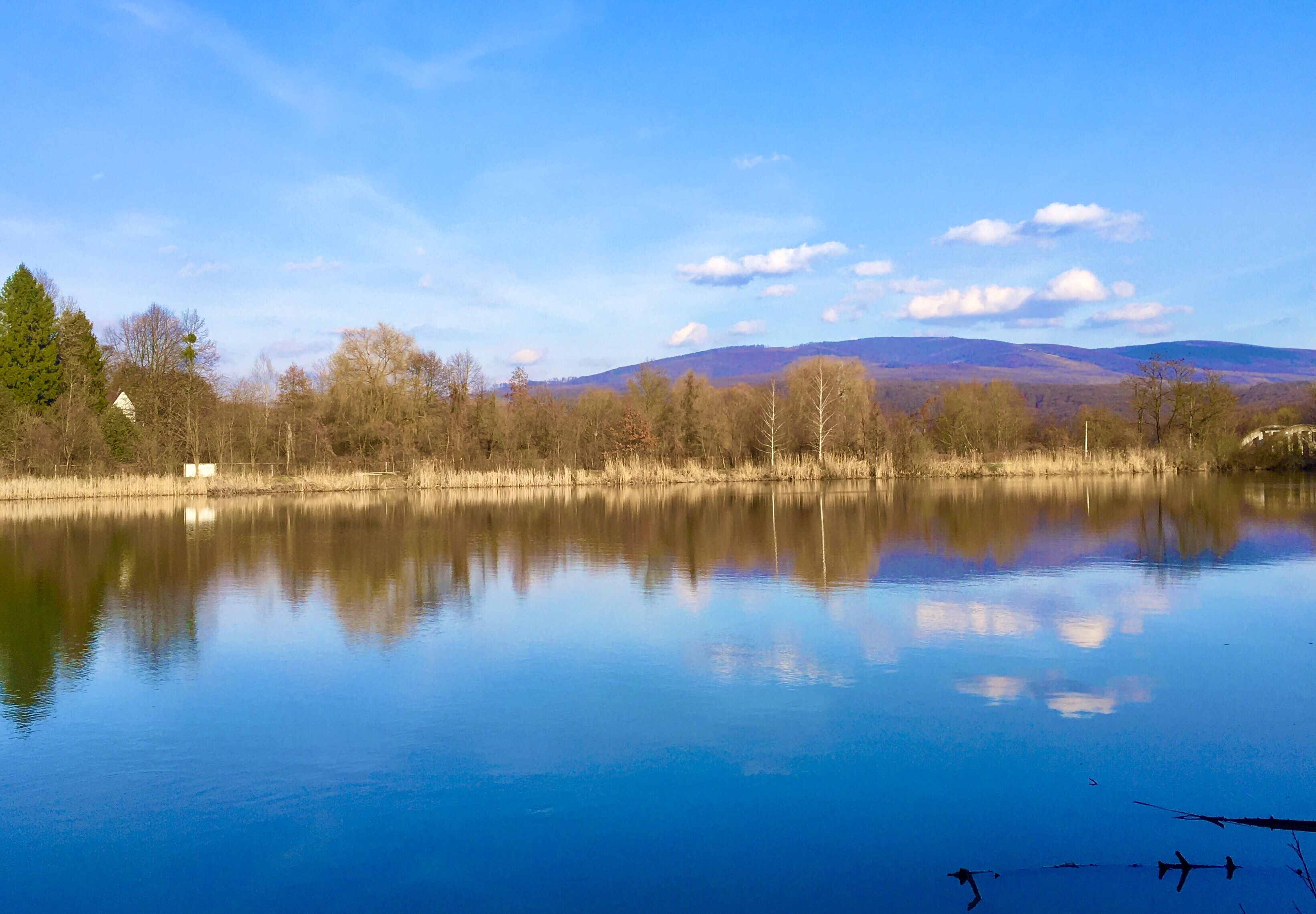 A calm lake with a clear reflection of trees and a distant mountain range.