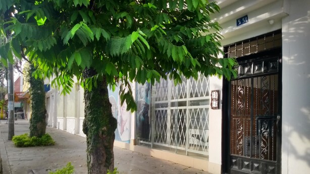 Acerado con un árbol, una reja de metal y un edificio con un letrero que dice "5-51".