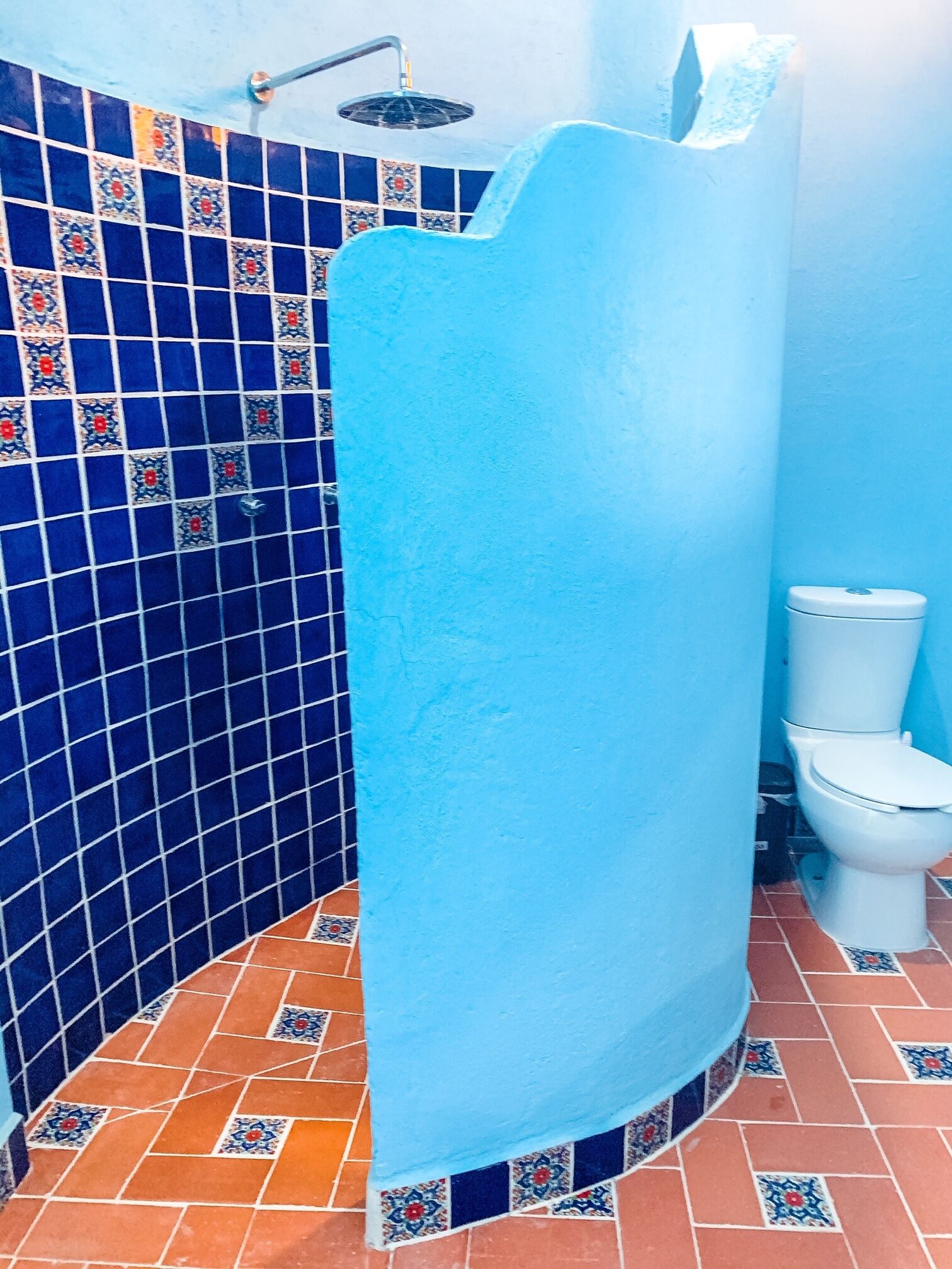 A bathroom with blue walls, a shower enclosure, and a toilet.