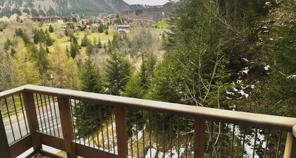 Spacious apartment for 10 with wifi and parking in Courchevel