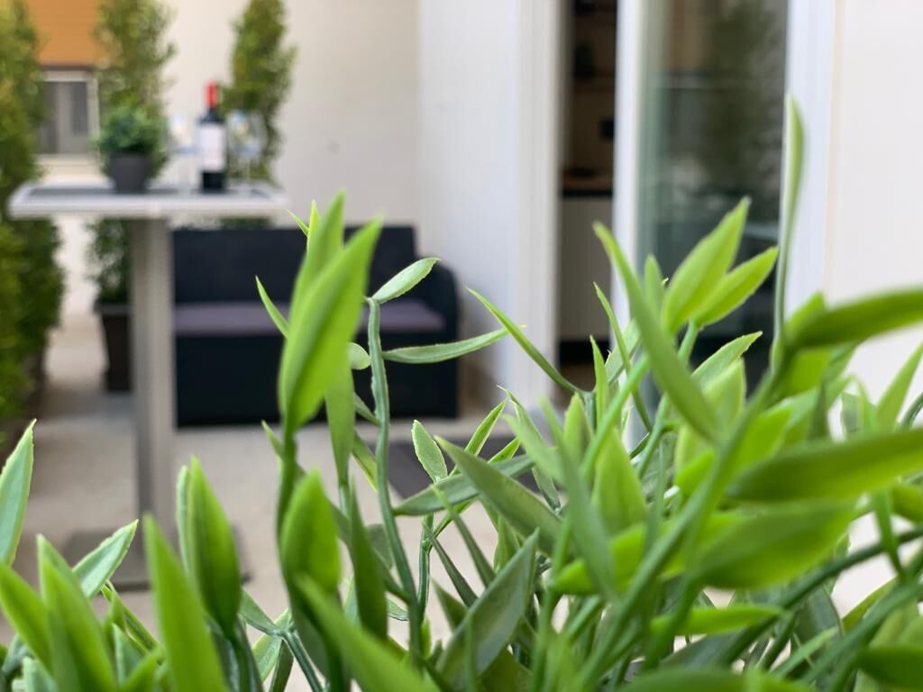 Un primo piano di verde vegetazione in un ambiente interno moderno, con sfondo sfocato.