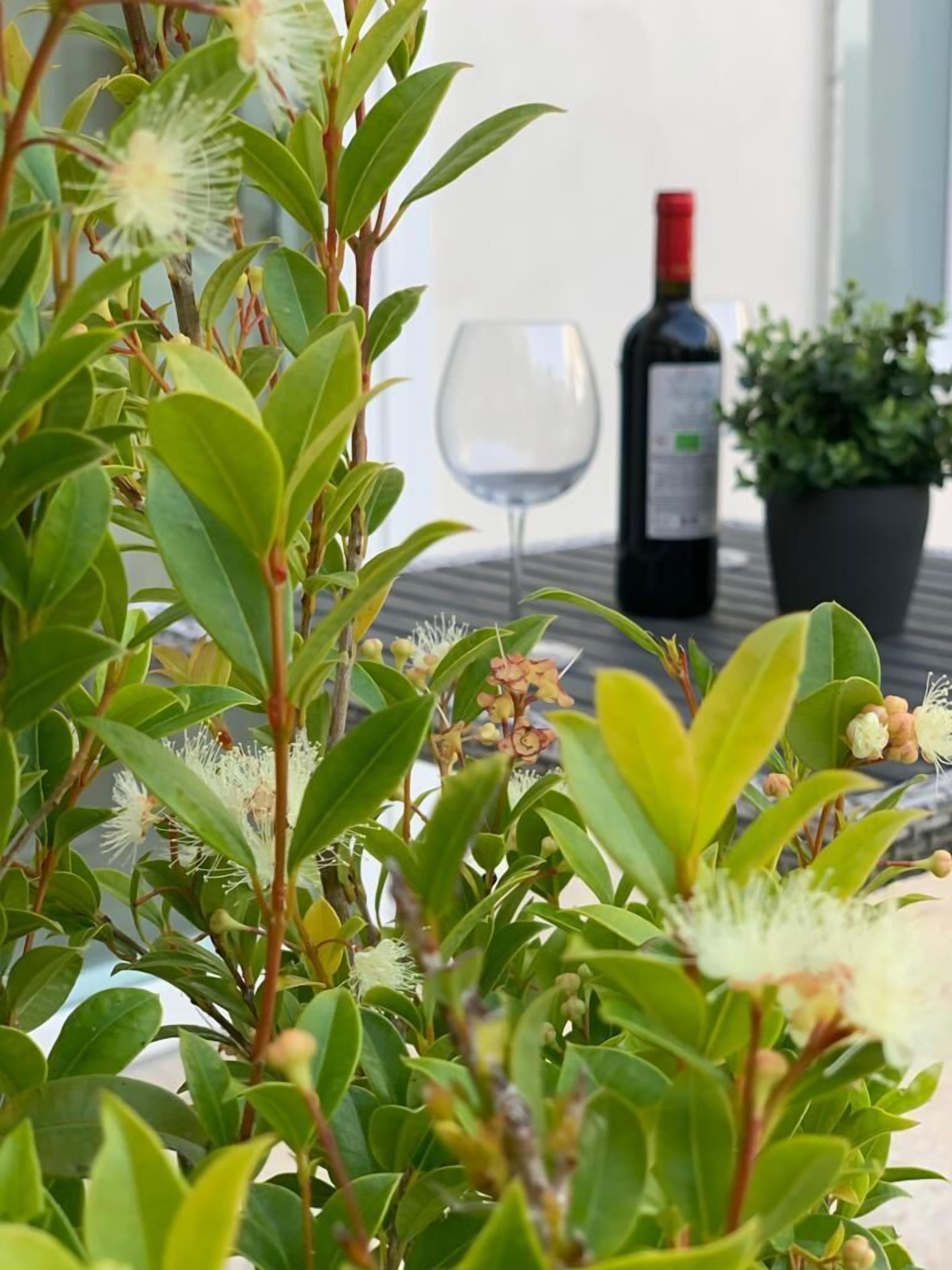 A potted plant with green leaves and white flowers in a room with a wine bottle and a wine glass on a table.