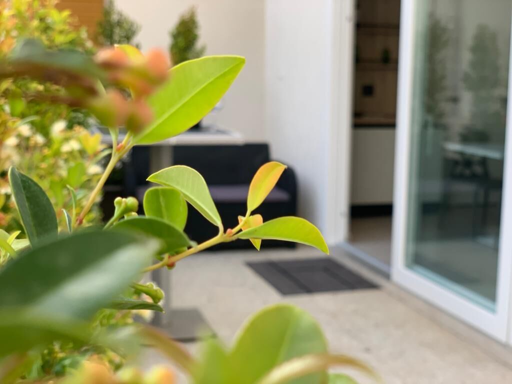 客房景观