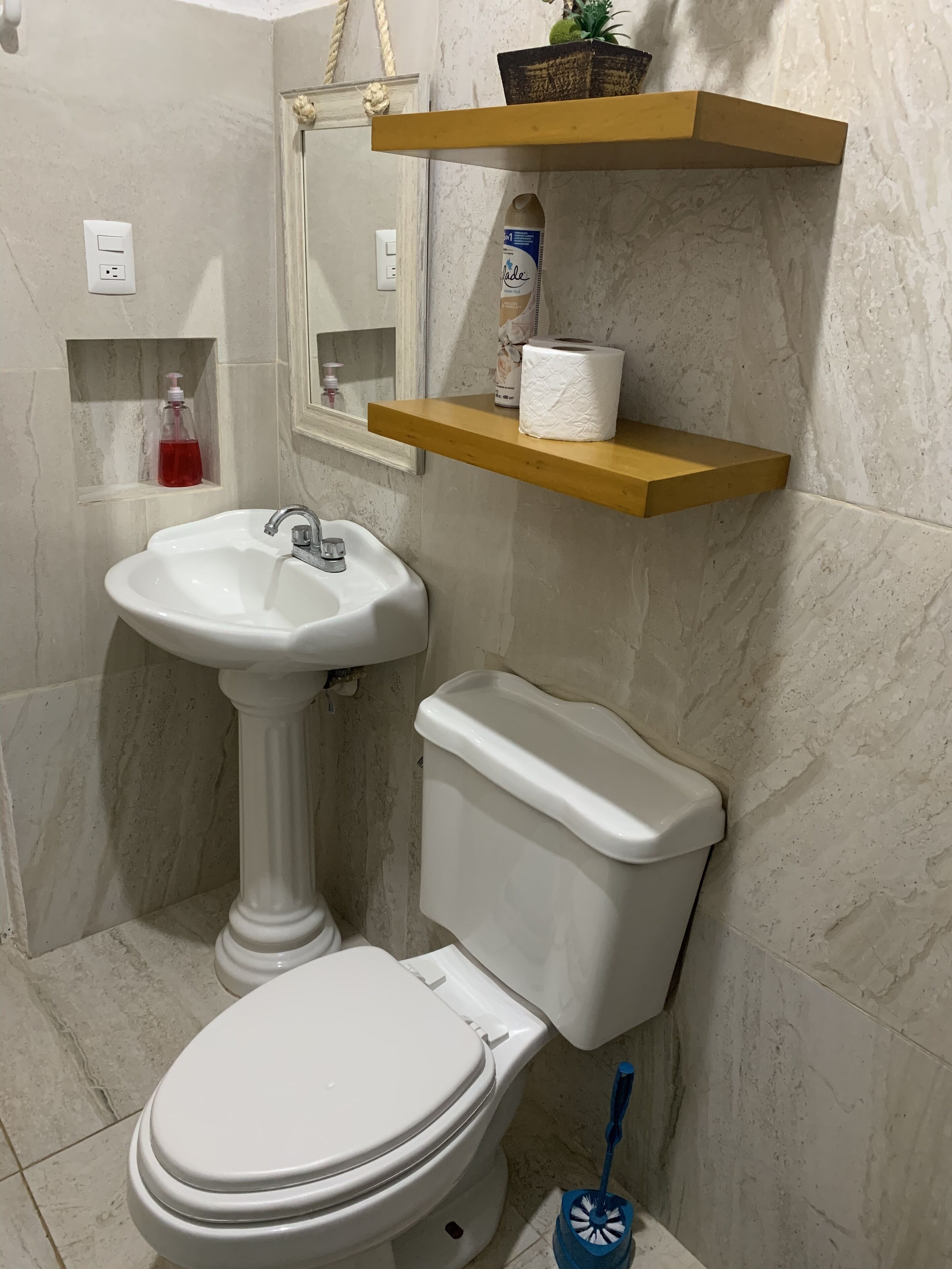 Une salle de bain avec un lavabo sur colonne, des toilettes et une étagère contenant des articles de toilette.