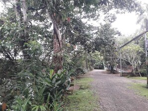 Garden - Iguanitas Lodge (Pital)