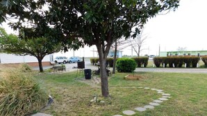 A grassy area with a tree, a pathway, and a building in the background. - American Star Inn (Munday)