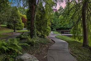 Property grounds - Waterfall Manor | Mountain Luxury w/ Fireplaces & Views + Biltmore Pass (Fletcher)