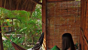 A hammock under a thatched roof, a person sitting on a bench, and a bamboo wall. - Phuc Sinh Homestay (Phu Tuc)
