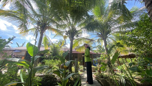 A tropical garden with palm trees and a pathway leading to a building with a red roof. - Phuc Sinh Homestay (Phu Tuc)