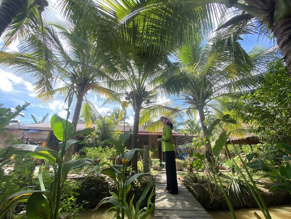 A tropical garden with palm trees and a pathway leading to a building with a red roof. - Phuc Sinh Homestay (Chau Thanh)