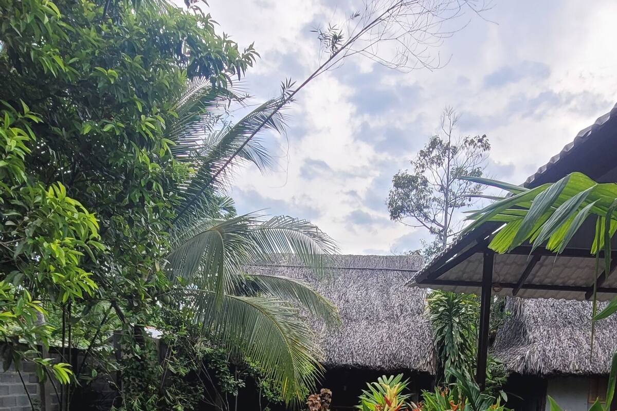 Habitación tradicional doble, vistas al lago | Vistas al jardín
