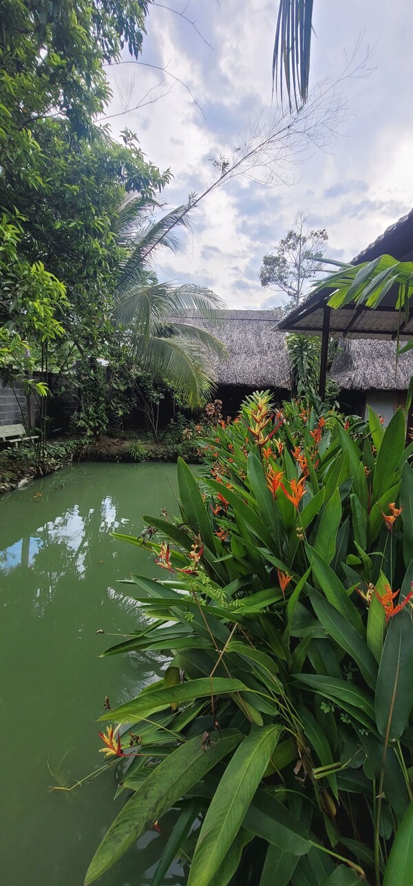 Phuc Sinh Homestay - Ben Tre