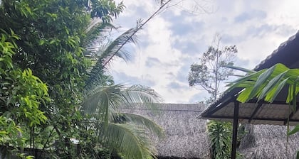 Phuc Sinh Homestay
