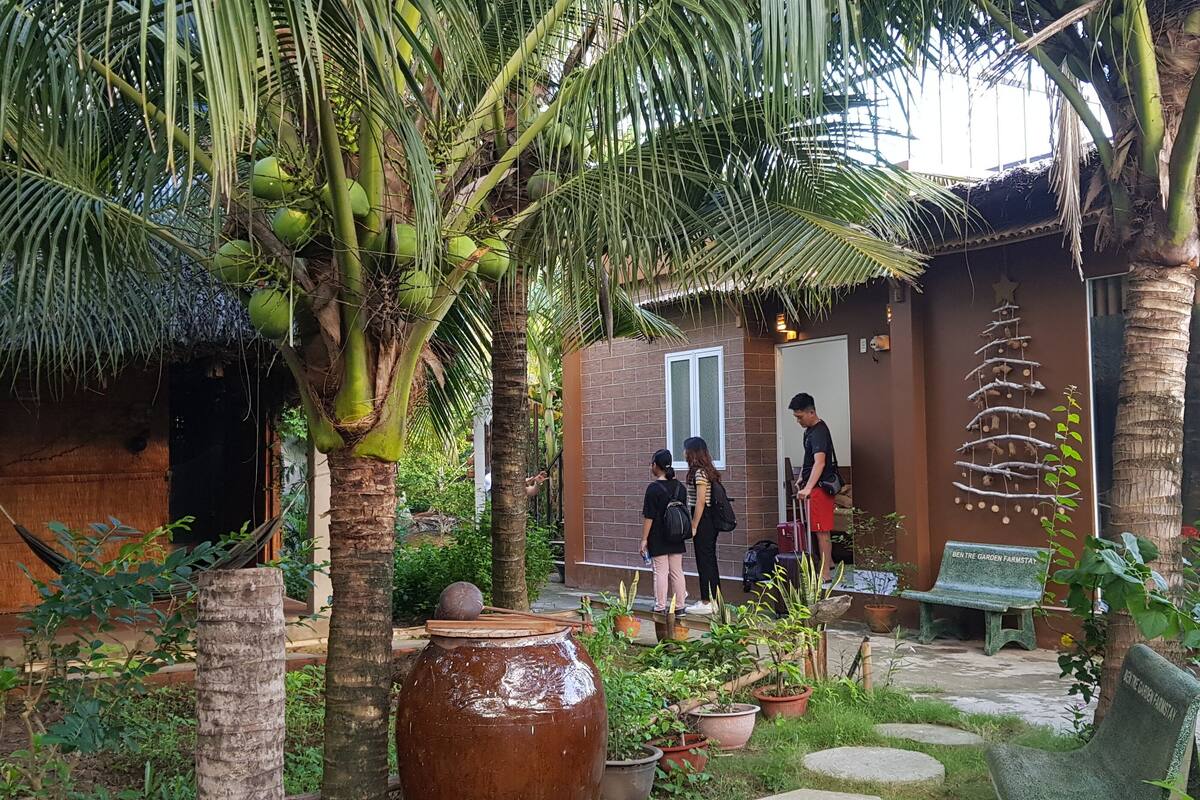 Un patio con palmeras, una gran maceta de barro y un banco.
