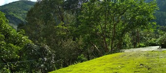 The Silent Valley River Kalsa-Organic Farm Stay