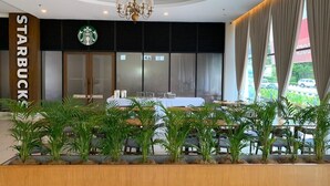 Una tienda Starbucks con una decoración moderna, amplios ventanales y plantas de interior.