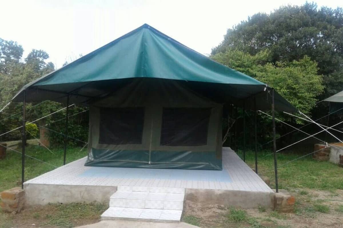 A tent with a peaked roof and a covered entrance, set on a concrete platform with steps leading up to it.