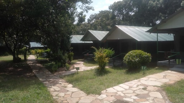A pathway leading to a row of covered structures with a stone path and greenery.