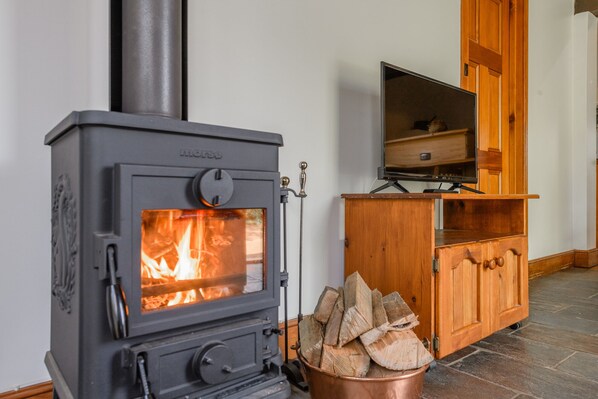 A wood-burning stove with a television on a wooden cabinet in the background.