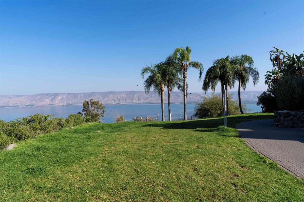A grassy area with palm trees and a paved path leading to a stone structure.
