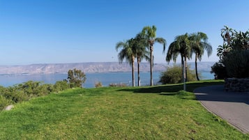 A grassy area with palm trees and a paved path leading to a stone structure.