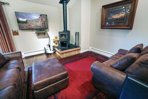 TV, fireplace, DVD player, video library
