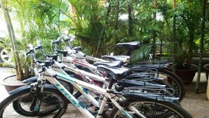 Una hilera de bicicletas estacionadas al aire libre con macetas y plantas en el fondo.