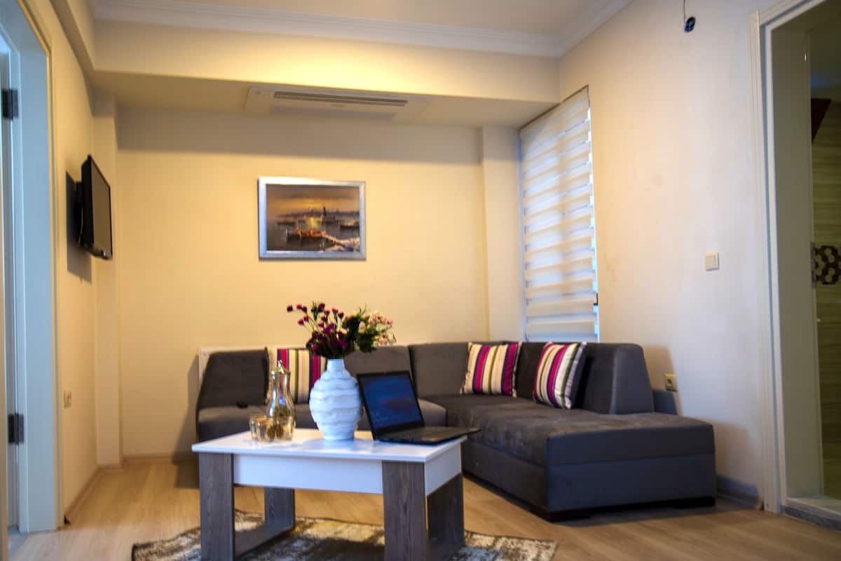 Classic Apartment, 1 Bedroom | Living area | 82-inch LED TV with satellite channels, TV