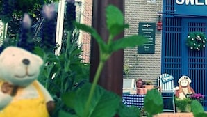 Una porta blu con un cartello che dice 'Sweet Home' e un piccolo tavolo con una sedia fuori.