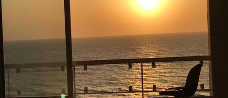 42-inch plasma TV with cable channels, TV, pay films