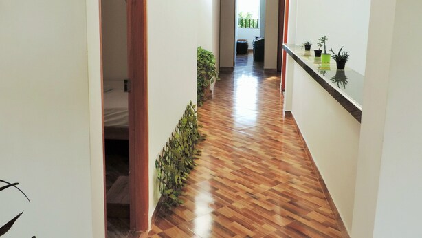 A hallway with wooden flooring, a small plant, and a door with a sign.