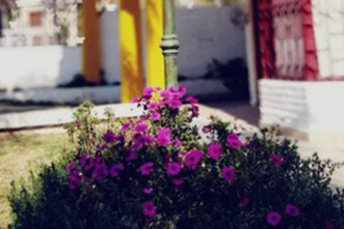 Apartemen Standar | Area keluarga | Televisi 14-inci dengan saluran TV kabel