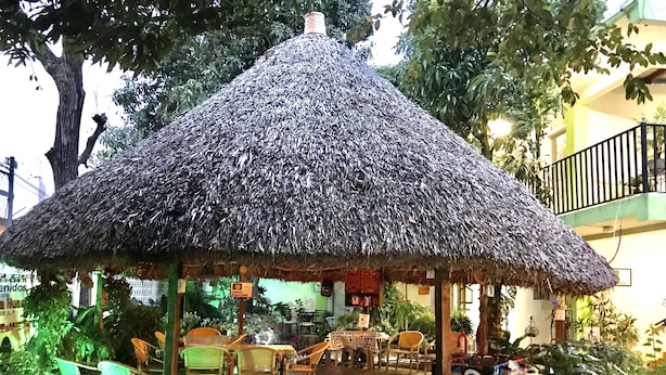 A thatched-roof structure with wicker furniture and potted plants. - Hostal Casa Huasteca (Ciudad Valles)