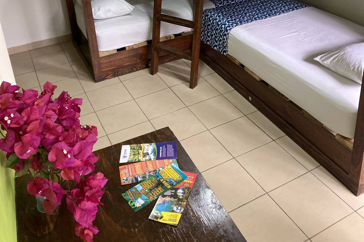 A bunk bed room with a wooden ladder, a small table with brochures, and a vase of flowers.