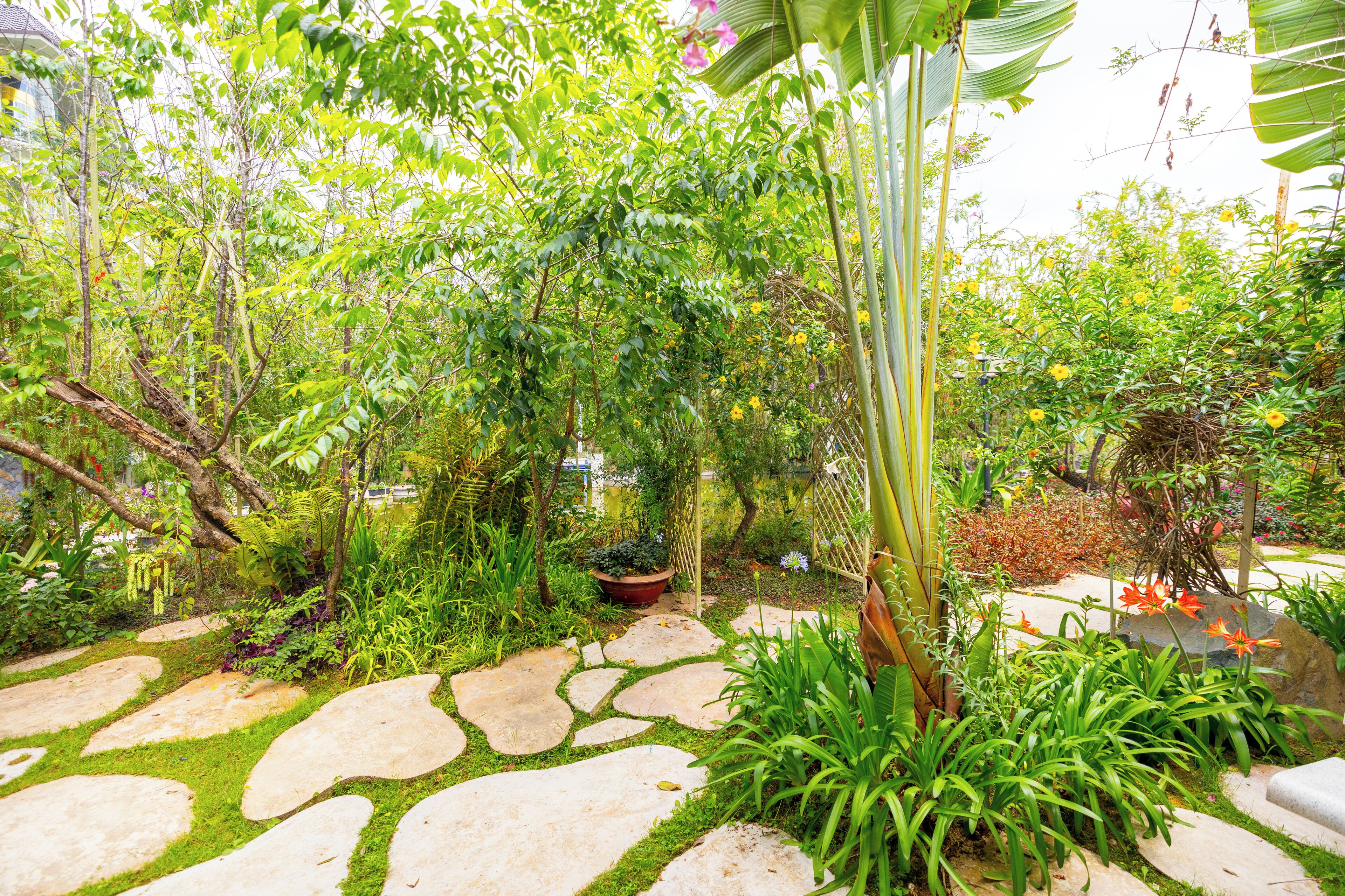 Bungalow dành cho gia đình, quang cảnh hồ (1 Queen Bed) | Quang cảnh từ phòng