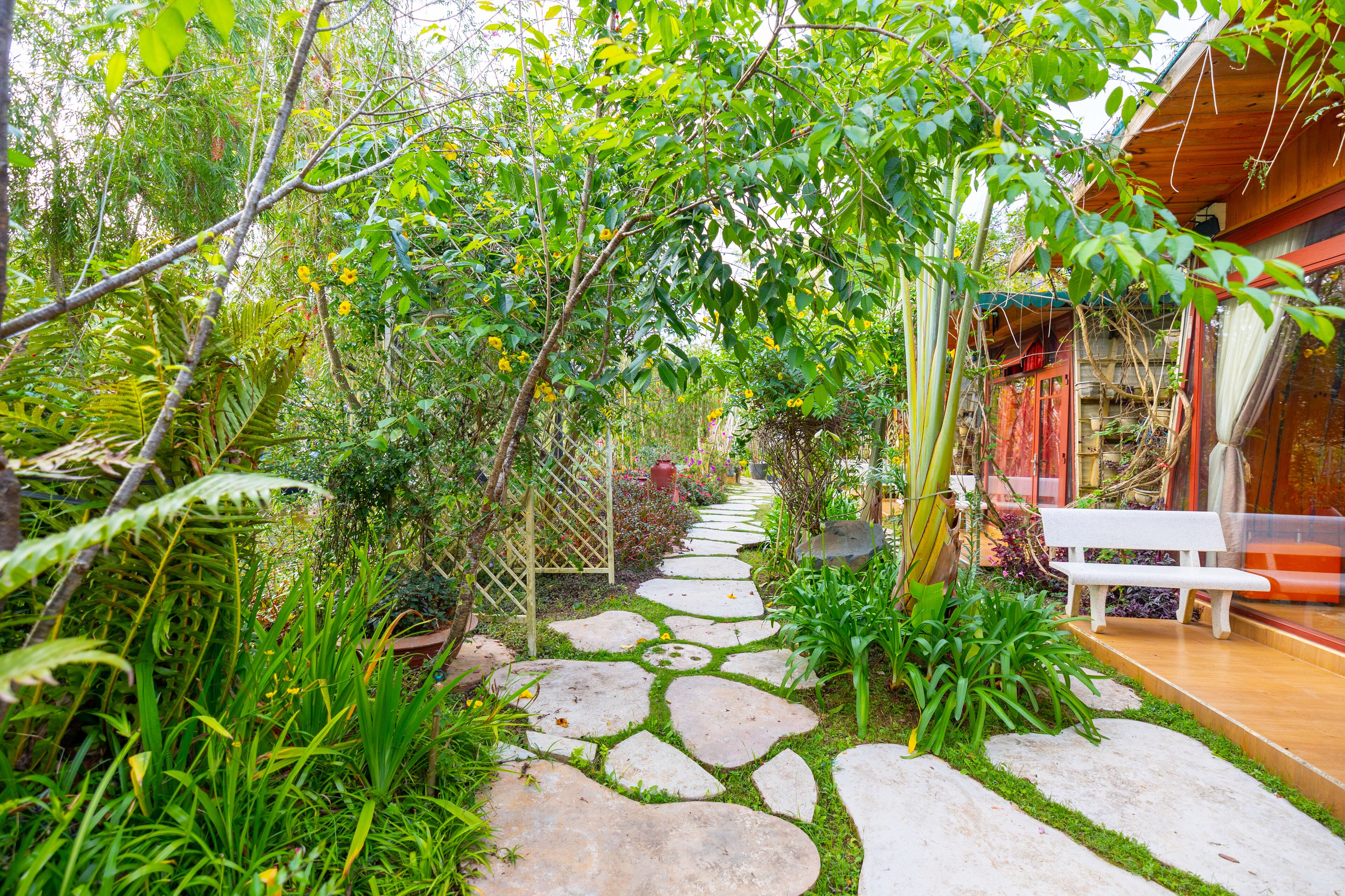 Bungalow, quang cảnh hồ (3 Queen Beds) | Quang cảnh vườn