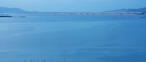 Vista al paisaje